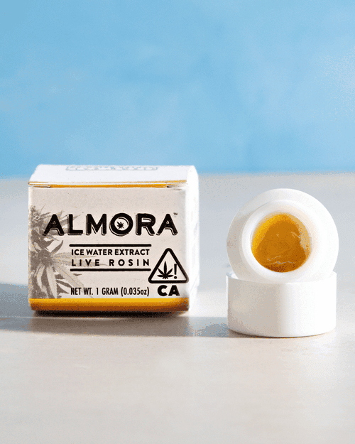 Almora Farm Space Apples 1 G Cold Cure Rosin