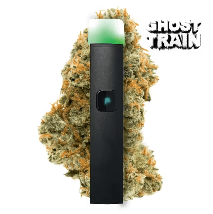 Plug N Play Justplay Ghost Train Haze 1 G Disposable